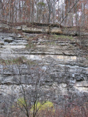 Chattanooga 11-06 050
