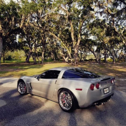 2007-Z06