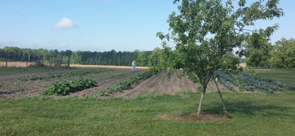 10377991 639013379518196 8690784810041120436 n