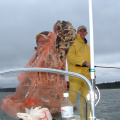 DSCF0012