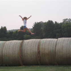 July Fun