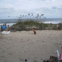 Sept 2008