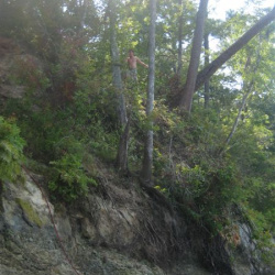 July 2010