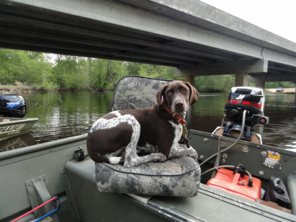 River 20