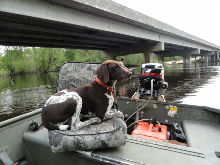 River 21