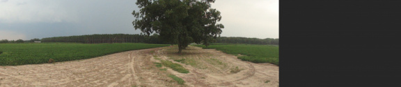 August 2011 10