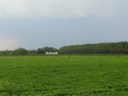 August 2011 14