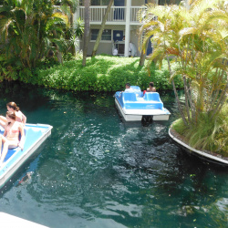 St-Pete